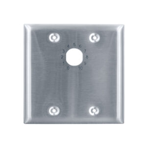 2-gang adaptor wall plate for key lock volume controls